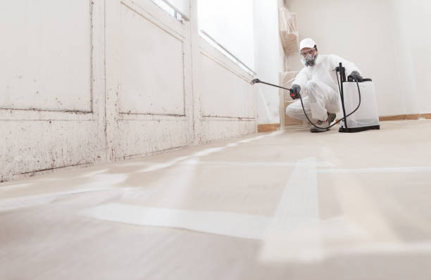 24/7 Emergency Mold Remediation experts in Smithfield, NC