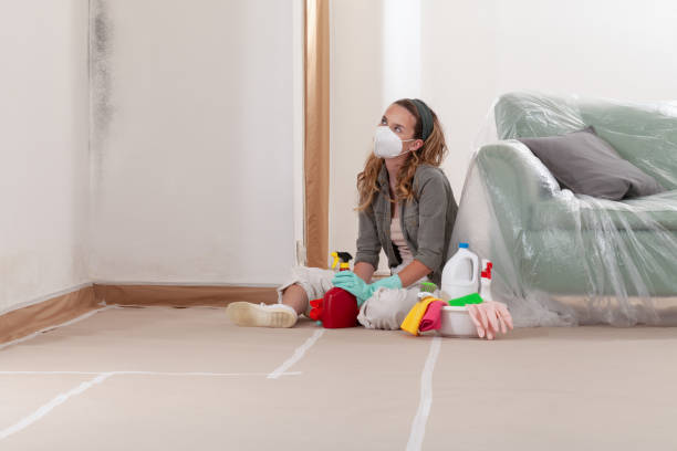 Reliable Mold Remediation contractor in Smithfield, NC by 24 Hour Mold Removal