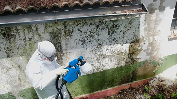 Top rated local Mold Remediation specialists in Smithfield, NC